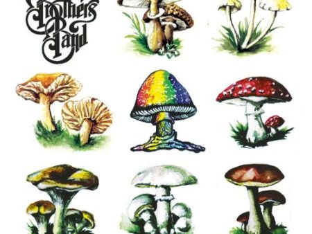 ALLMAN BROTHERS BAND - MYCOLOGY: AN ANTHOLOGY Supply