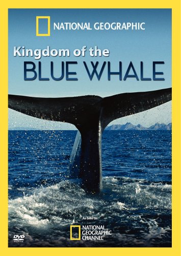 KINGDOM OF THE BLUE WHALE Online Sale