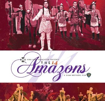 14 AMAZONS  - DVD-MADARIN WITH ENGLISH SUBTITLES Online Hot Sale