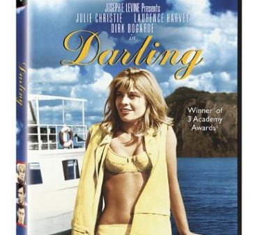 DARLING [IMPORT] Supply