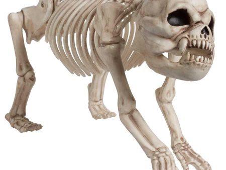 Cemetery Skeleton Dog - Plastic Online Hot Sale