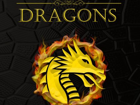 Dice & Dragons For Cheap